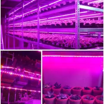 Светодиодный светильник для выращивания растений, полный спектр, USB-светильник для выращивания растений, 0,5 м, 1 м, 2 м, 2835 чип, светодиодная фитолампа для растений, цветов, теплица, гидропоника 1M&No Waterproof