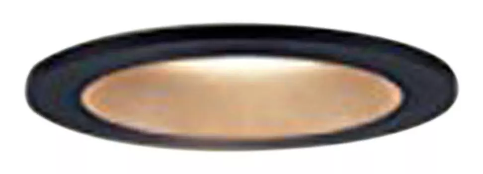 Светодиодный светильник Panasonic 60 тип рассеянный цвет лампы LGB73312LB1