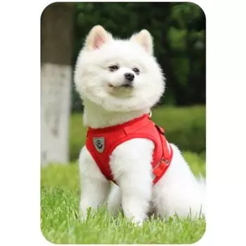 Светоотражающая безопасная прогулочная шлейка + поводок для собак Tiny Tog, ночник, красный, 1 комплект