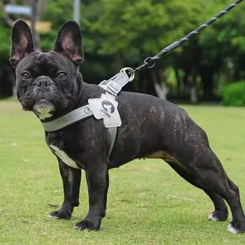 Светоотражающая шлейка для собак. Удобный и регулируемый нагрудный ремень для домашних животных для безопасного активного отдыха. Ежедневное использование. Прочный дышащий дизайн. S красный