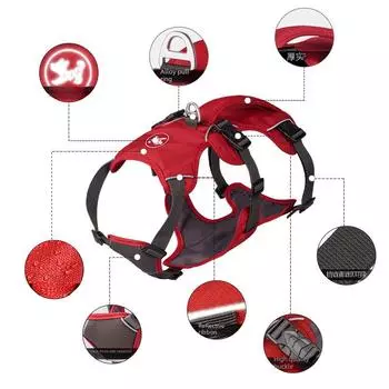 Светоотражающая шлейка и поводок для собак средних и крупных пород с защитой от выскальзывания — прочная и безопасная конструкция XXS: Chest 33-43cm, Neck 27-32.5cm синий