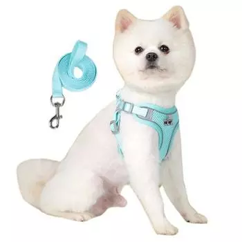 Светоотражающая шлейка-ночник BizL Basic + поводок для всех сезонов, зеленый, 1 комплект