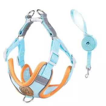 Светоотражающий безопасный шлейка с ночником для собачки + поводок, синий