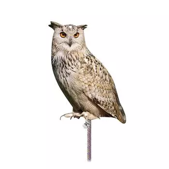 Светоотражающий двухсторонний домашний садовый кулон с изображением совы и птицы One Size