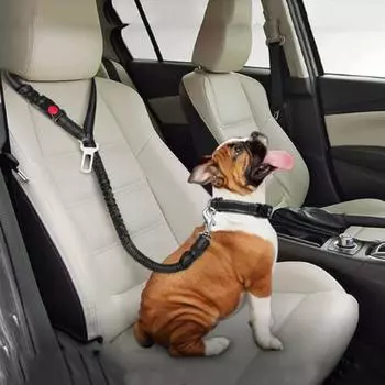 Светоотражающий ремень безопасности для домашних животных, регулируемый поводок для собак, ремень безопасности для спины собаки, котенок фиолетовый