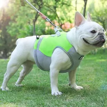 Светоотражающий жилет для домашних животных для безопасных и комфортных летних прогулок. Регулируемый, дышащий, простой в использовании, с двойными D-образными кольцами. M синий