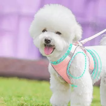 Светоотражающий жилет для собак, дышащий поводок для собак и кошек, набор для дрессировки щенков и нагрудного ремня M розовый