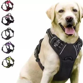 Светоотражающий жилет-шлейка для собак без поводка, нейлоновый жилет-поводок для собак больших и средних размеров S фиолетовый