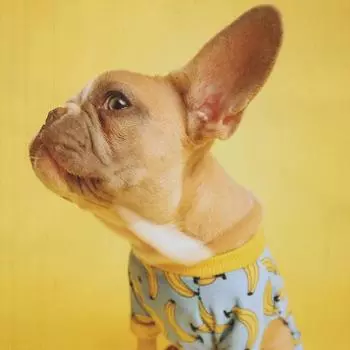 Свитшоты для женщин Осенние свитшоты с длинным рукавом Оверсайз Повседневные пуловеры Топы M чёрный