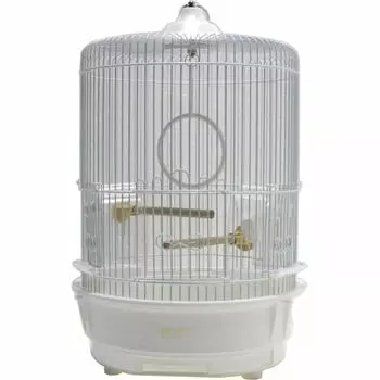 Сывороточный белый R440M-P белый