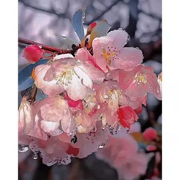 T0# Paint By Numbers Kit On Canvas DIY Oil Art Flower Picture Home Wall Decor H4346