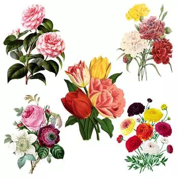 T308 # великолепная наклейка на стену с букетом, декор для ванной комнаты, туалета, гостиной, шкафа, холодильника, украшения дома, наклейки A-23x30cm-PET