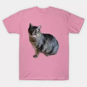 T Рубашка женщин Кошка Мода Harajuku Печать Кавайи футболка Летний короткий рукав женский футболка Top Tee S