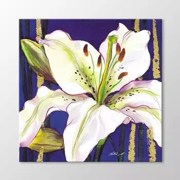 Таблица цветов