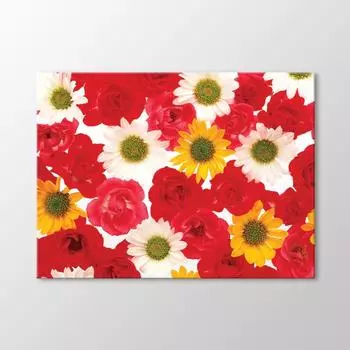 Таблица хризантем