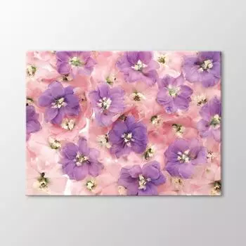 Таблица розовых и фиолетовых цветов