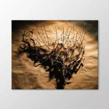 Таблица сушеных веток