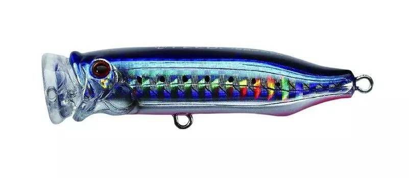 TackleHouse, Popper, Contact, Feed Popper, 2.8 inches (70 mm), 0.3 oz (9.5 g), SHG Sardine Red Berry #07 CFP70 Lure