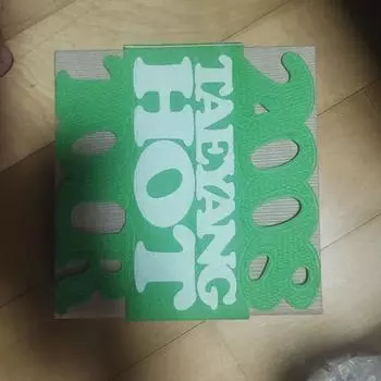 Taeyang + Global Warning Tour 2008 Big Bang