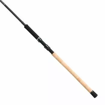 Tailwalk Rod Cason Ginsei PLUS 106H