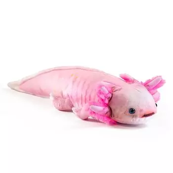 taiyo industry trade SA053 аксолотль мягкая игрушка настоящий образовательный образование настоящее