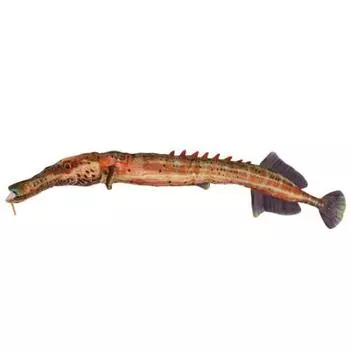 Taiyo Sangyo Boeki SK007 Supervised by Sakana-kun Fish stuffed toy Herayagara Real Sakanako