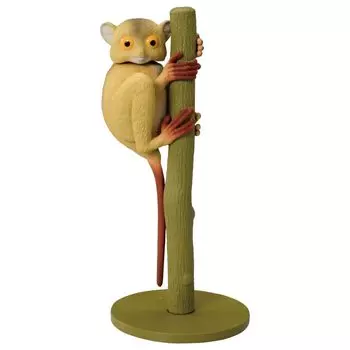 Takara Tomy Ania Tarsier Животное Динозавр Игрушка Возраст AS-27 (Западный долгопят) 3+