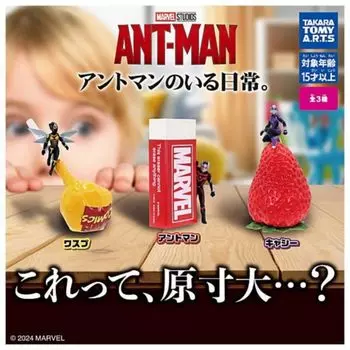 Takara Tomy Arts Повседневная жизнь со всеми 3 типами наборов Полный комплект Gacha Gacha Capsule Игрушка Ant-Man.