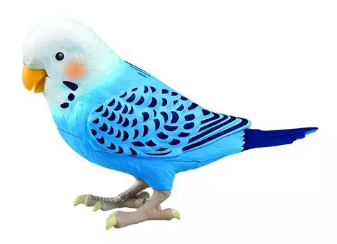 Takara Tomy TAKARATOMY Daily Talk Genius Parakeet Blue Blue Target 6 лет Brain Training Healing Partner Более 1100 способов говорить 10 песен возраст