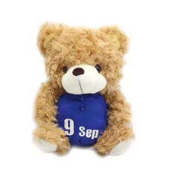 Take Off Plush Toy September Brown BEAR S365