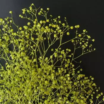 takeda Takeda Гипсофила Большой Сухоцвет Архитектурная Модель Модель Миниатюрное Дерево Дерево (зеленый)