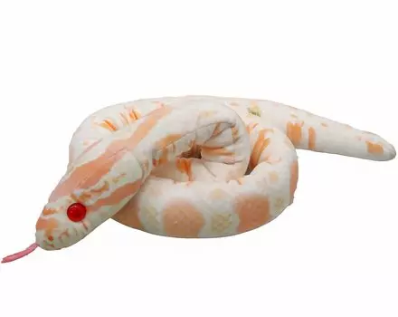 Takeoff Corn Snake (Albino)