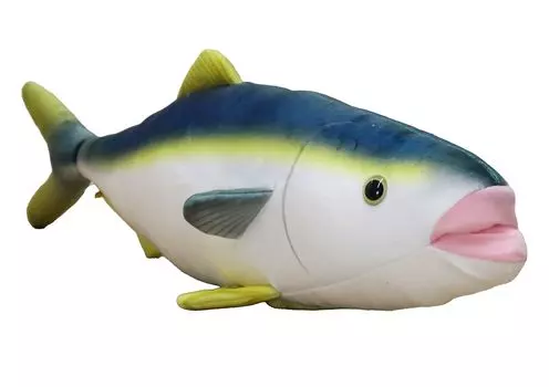 Takeoff Sea and fish Yellowtail