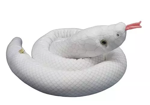 Takeoff Shirohebi Leucism