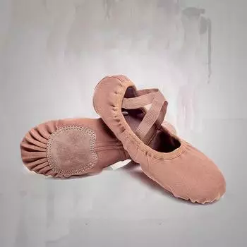 Танцевальная обувь с мягкой подошвой, женская эластичная ткань, тренировочная обувь для взрослых, специальные детские туфли без шнурков, балетная обувь в виде кошачьих когтей 24