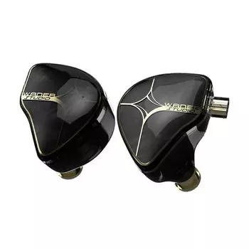 TANGZU STUDIO EDITION Earphones IEM Shangguan Huan Wired 10mm Dynamic Driver Recable 2PIN Recable WAN ER S.G In-Ear 0.78mm (Black)