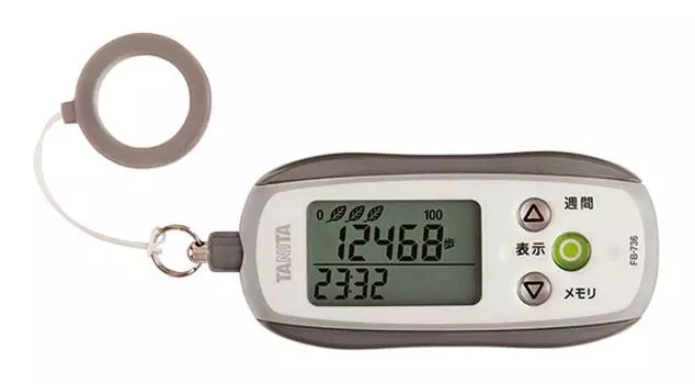 Tanita Pedometer 3D Sensor Gray GY with Security Buzzer FB-736