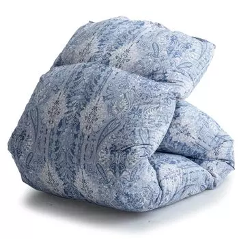 Tansu no Gen Duvet Single be washed at a coin down Filling amount Made in Japan 7 year warranty Washable comforter [Can laundry! ] 93% 1.0kg