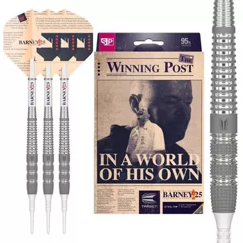 Target Bernie 25 Raymond Van Barneveld Model 2BA 18g 210316