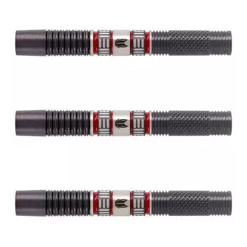 TARGET CLEMENS 95K 2BA 19g Габриэль Клеменс модель игрока дротики бочка набор дротиков 210390