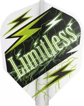 Target Dart Flight 8 Flight Chris Lim Model Shape