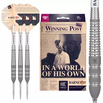 Target Darts Raymond Van Barneveld RVB 25 Year Edition 23G Tungsten Swiss Point Steel Tip Dart Set 95%