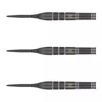 TARGET Target NATHAN SWISS POINT STEEL 23g Nathan Aspinall Player Model Dart Barrel Dart Set ASPINALLECHO 190290