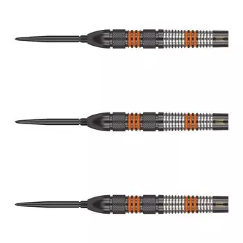 TARGET Target RVB 80 BLACK EDITION SWISS POINT STEEL 21 г набор дротиков Raymond van Barneveld для игроков 190212