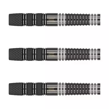 TARGET Target RVB 95 x ECHO 2BA 20 г Модель игрока Raymond van Barneveld, набор дротиков 210195