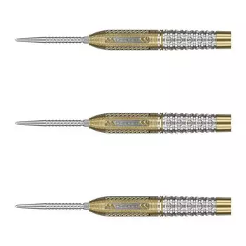 TARGET Target RVB CHRONO SWISS POINT STEEL 25 г набор дротиков для игры в стиле Raymond van Barneveld 190297