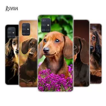 Такса Доберман Собака Для Samsung Galaxy A01 A11 A12 A22 A21S A31 A41 A42 A51 A71 A32 A52 A72 A02S Мягкий Чехол Для Телефона Samsung A01