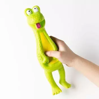 Teddy Molar Toy Bichon Kitty Puppy Frog