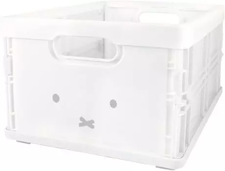Tees Factory Miffy Character Container Face 236831