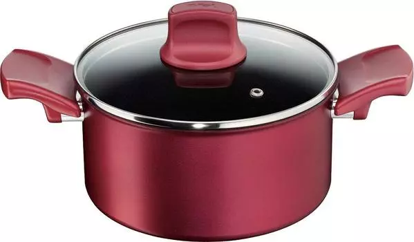 Tefal Двуручная кастрюля для сотейника 20 см Ruby Excellence Совместима с моделью IH C62244 2016 года красный